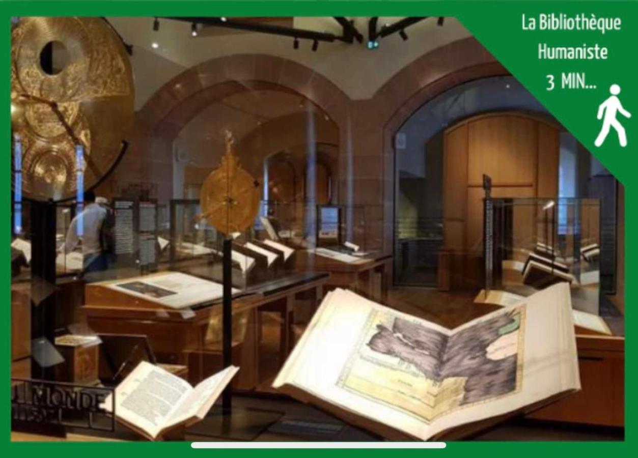 La Parenthese Alsacienne Au Coeur De Selestat Lejlighed Eksteriør billede